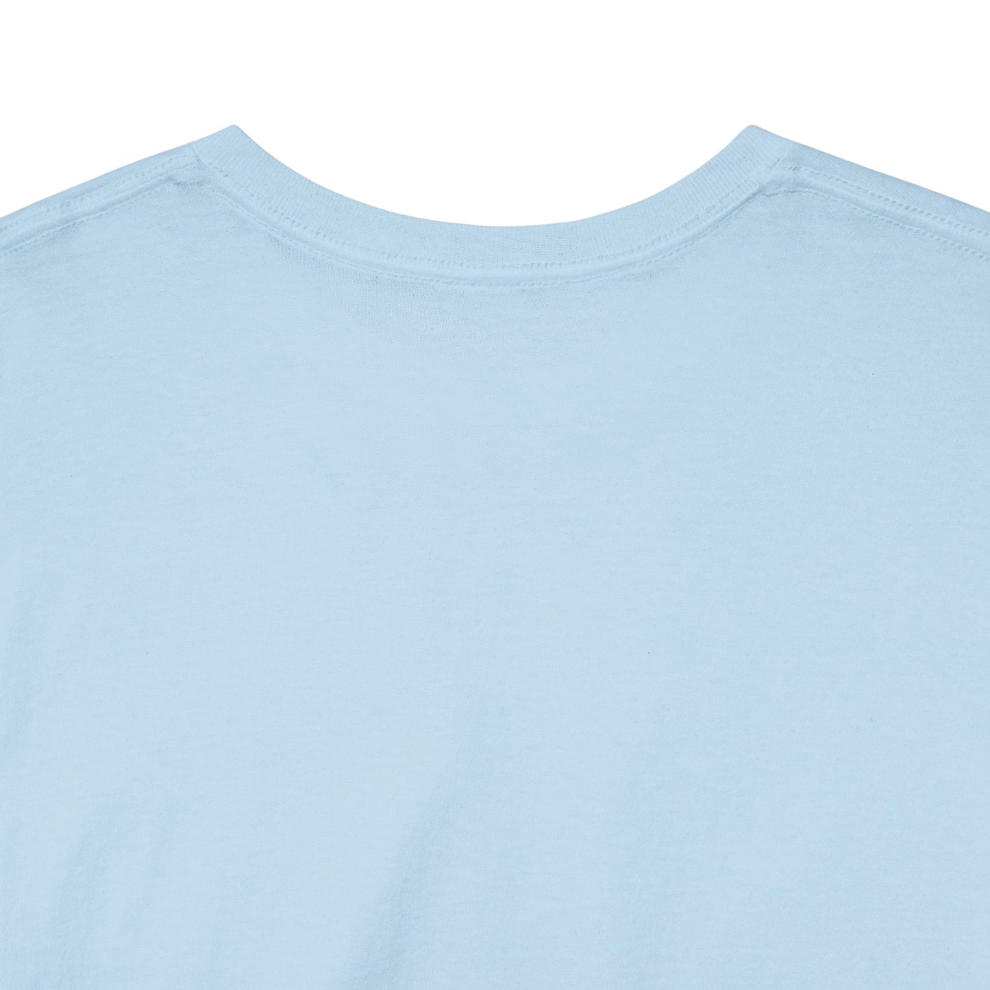 I Harass Refs | Heavy Cotton Tee | For the fans | Screen printed | 5 color options | Sizes S-5XL