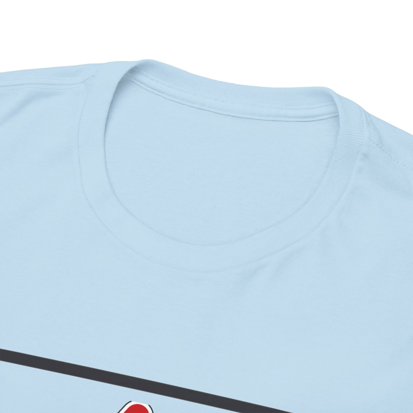 I Harass Refs | Heavy Cotton Tee | For the fans | Screen printed |  5 color options | Sizes S-5XL